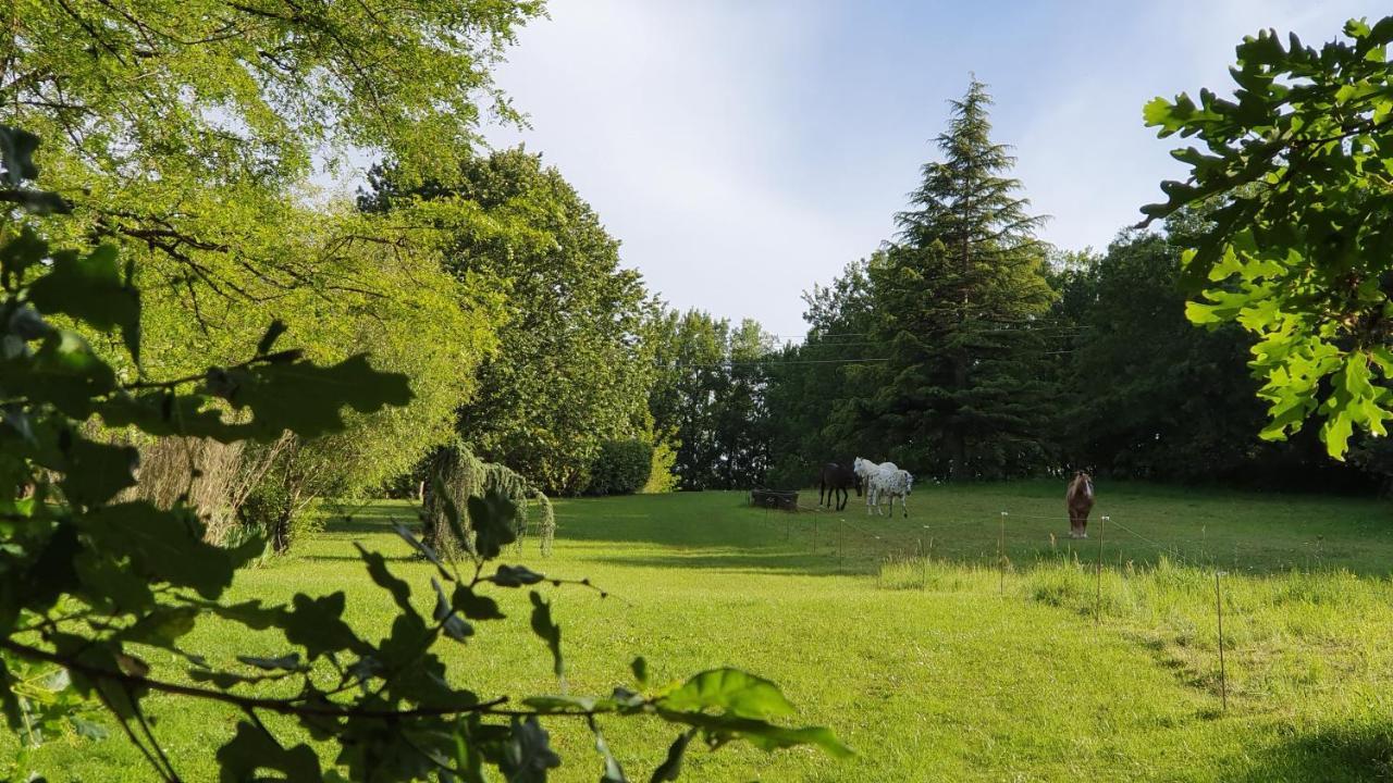 Domaine Du Cardou 호텔 Puy-lʼÉvêque 외부 사진